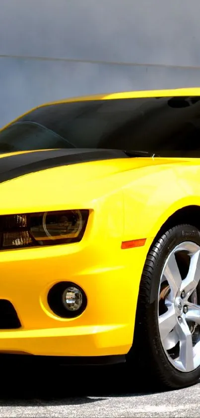 Bright yellow sports car on display.