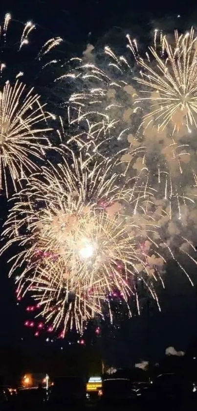 Vibrant fireworks exploding in the night sky, creating a colorful spectacle.