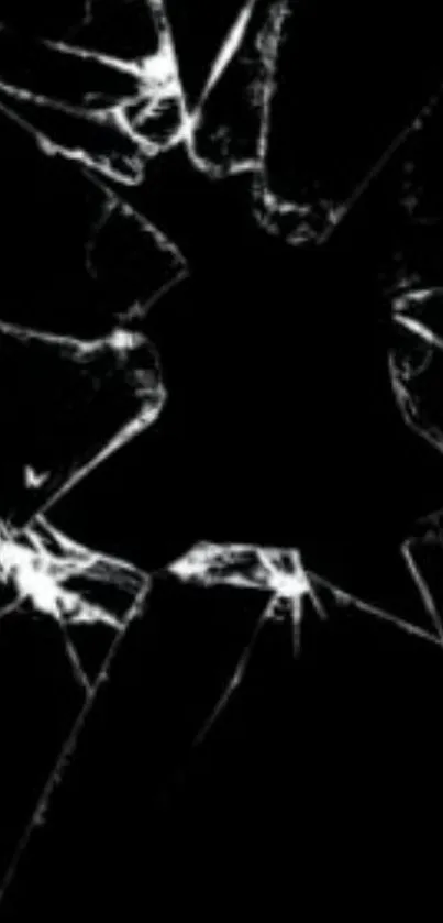 Cracked glass pattern on black background.