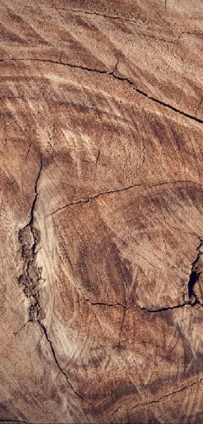 Brown Bedrock Wood Live Wallpaper