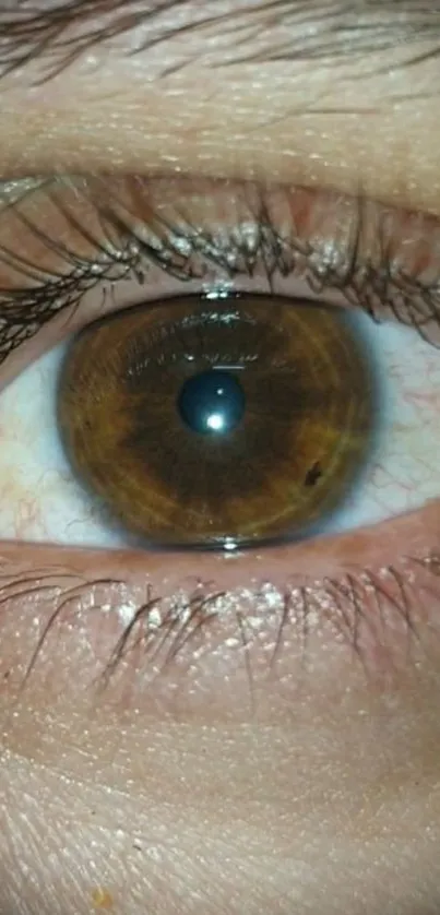 Close-up image of a brown eye with detailed iris texture.