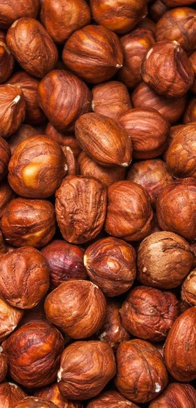 Close-up of brown hazelnuts forming a textured pattern.