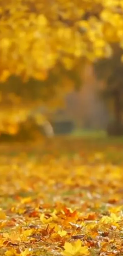 Brown Plant Amber Live Wallpaper