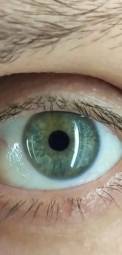 Brown White Light Live Wallpaper