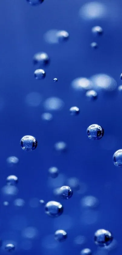 Serene blue bubbles floating elegantly on a calming background.