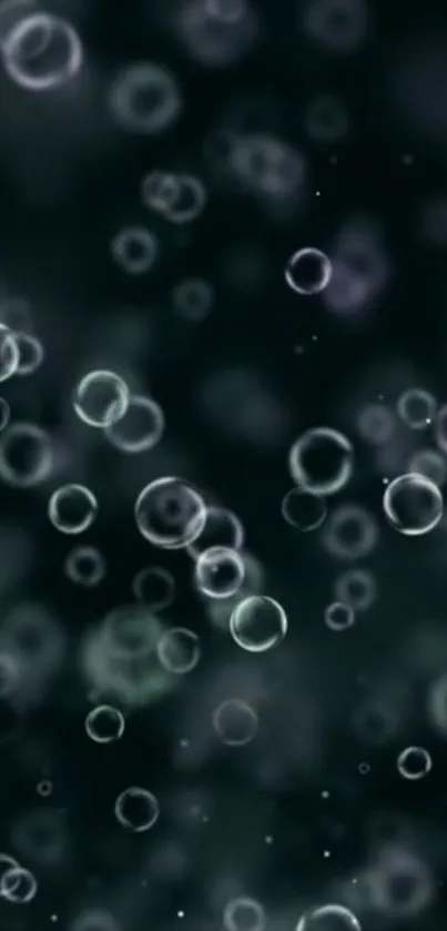 Floating bubbles against a dark background.