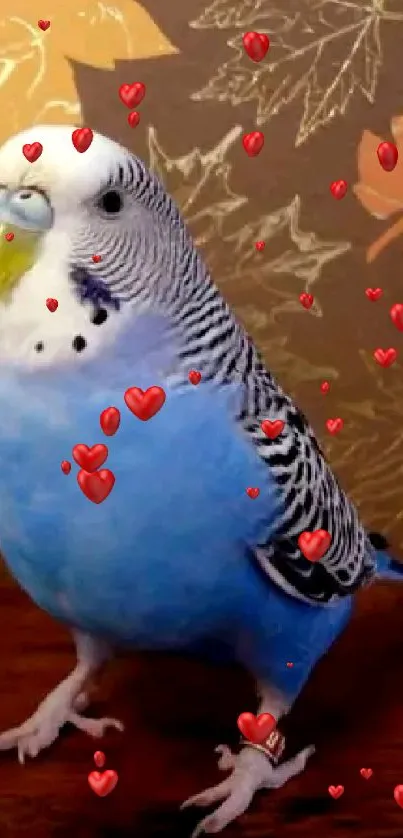 Blue budgie next to pie on autumn leaves background.