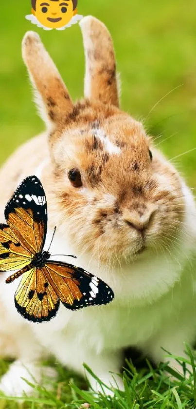 Cute rabbit with a butterfly in a green meadow wallpaper.