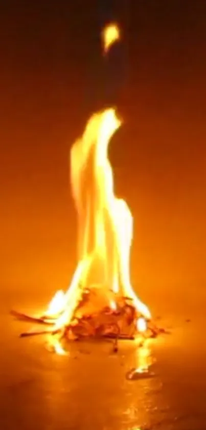 A mesmerizing burning flame on a dark background.