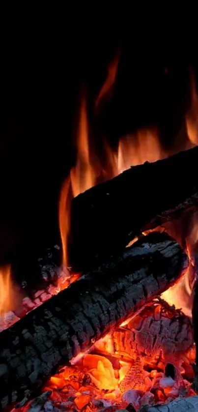 Vibrant flames and glowing embers on dark background.