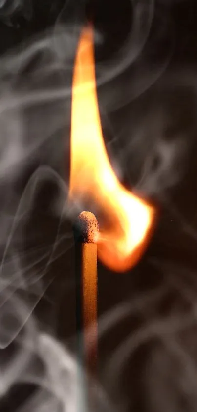 Burning match in dark wallpaper with vibrant flame.