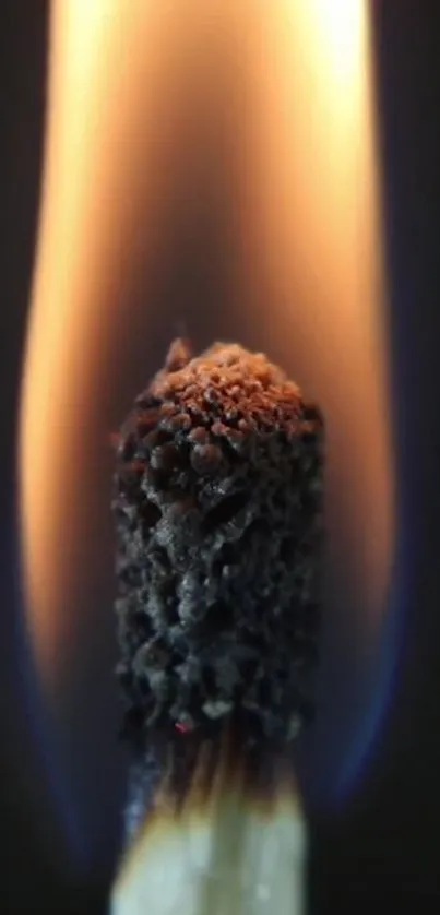 A close-up of a burning match flame in vivid detail.