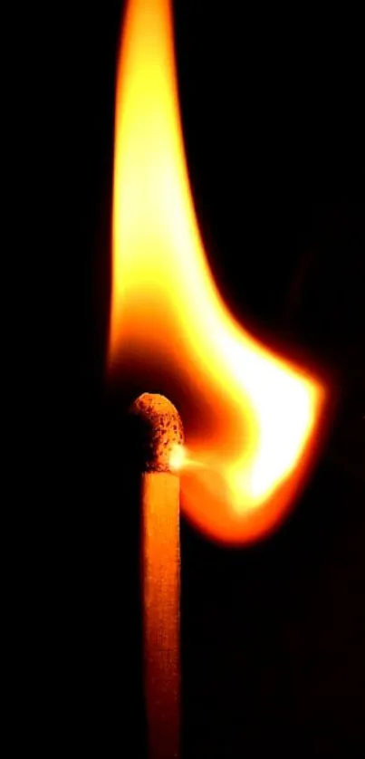 A burning match with a vibrant flame against a dark background.