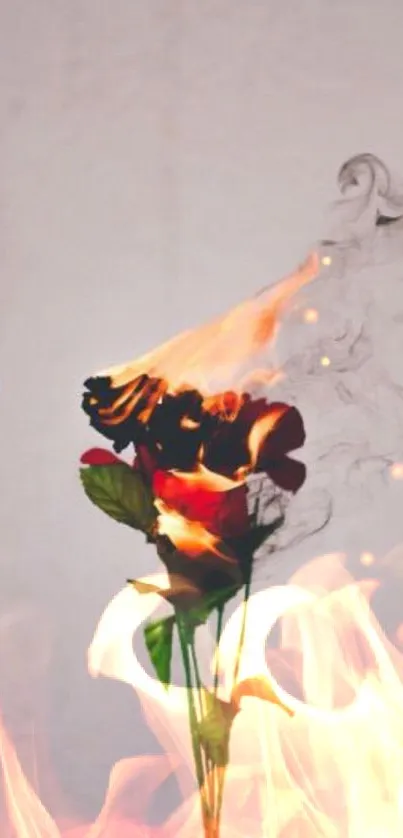 A burning rose against a light gray background, with vibrant flames rising.