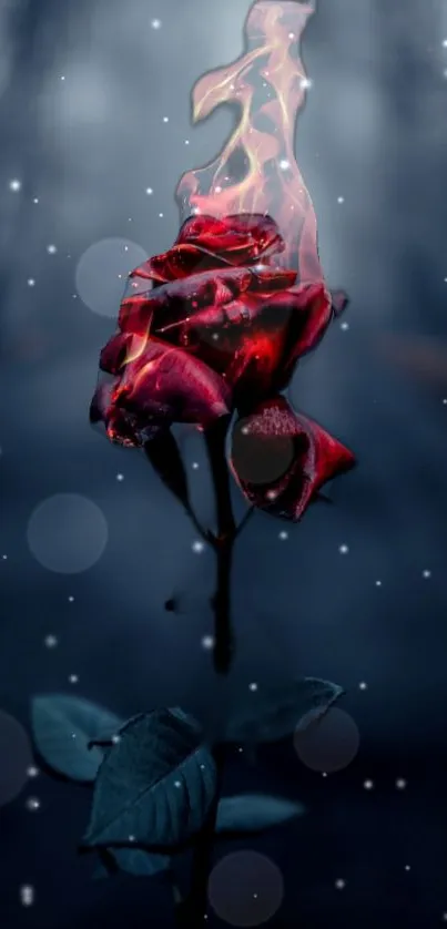 Flaming red rose with dark background creates a mystical mobile wallpaper.