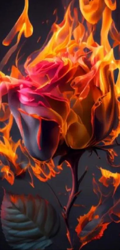 Fiery rose ignited with vibrant orange flames.