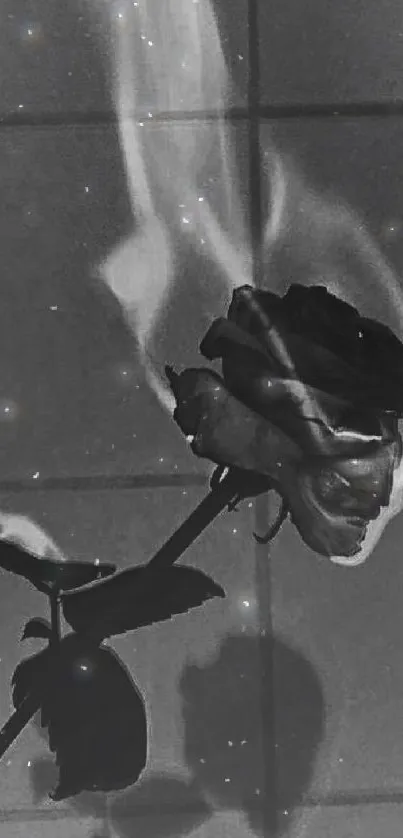 Black and white burning rose on a dark background.