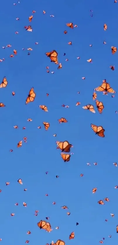 Orange butterflies flying across a blue sky in a lively mobile wallpaper.