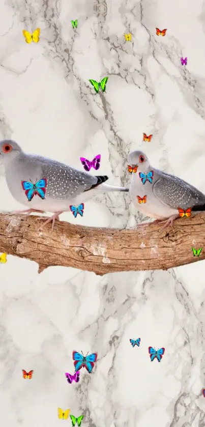 Birds on a branch with colorful butterflies on marble background.