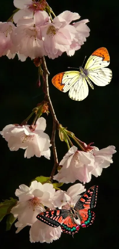 Butterflies and cherry blossoms mobile wallpaper with vibrant natural colors.