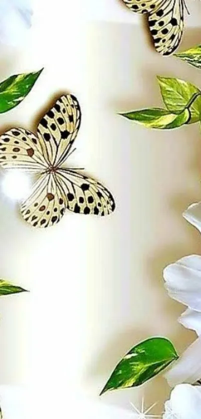 Mobile wallpaper with butterflies and daisies on a beige background.