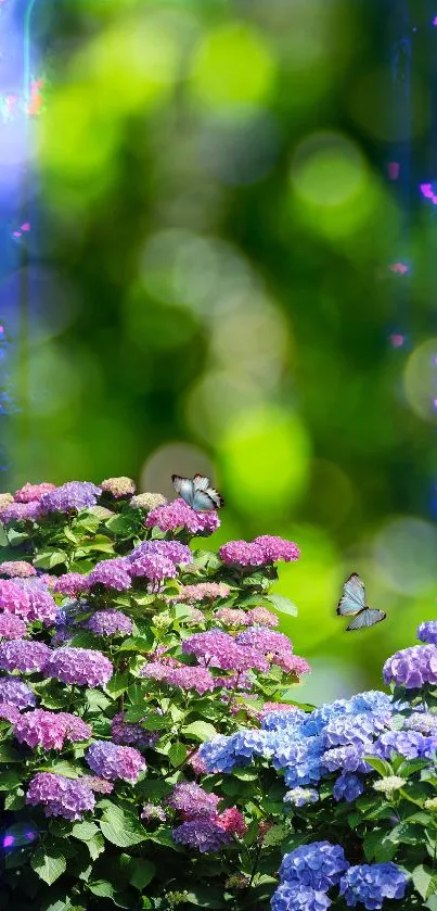 Hydrangeas and butterflies wallpaper with green bokeh background.