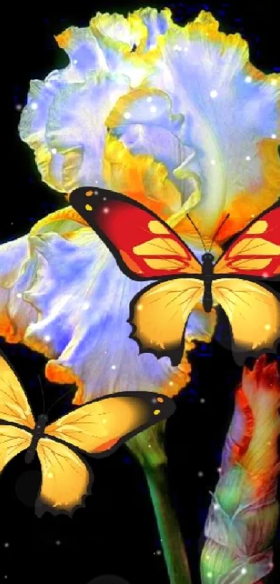 Butterflies flutter over a colorful iris bloom on a dark backdrop.