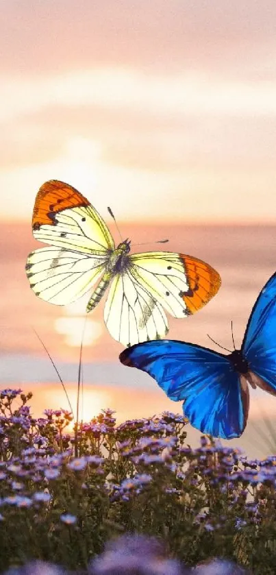 Butterflies flutter over flowers at sunset beach.