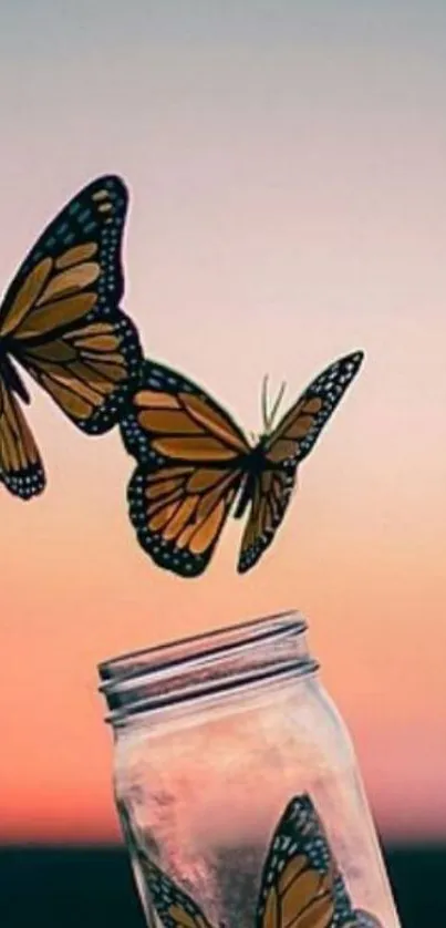 Butterflies emerging from a jar at sunset.