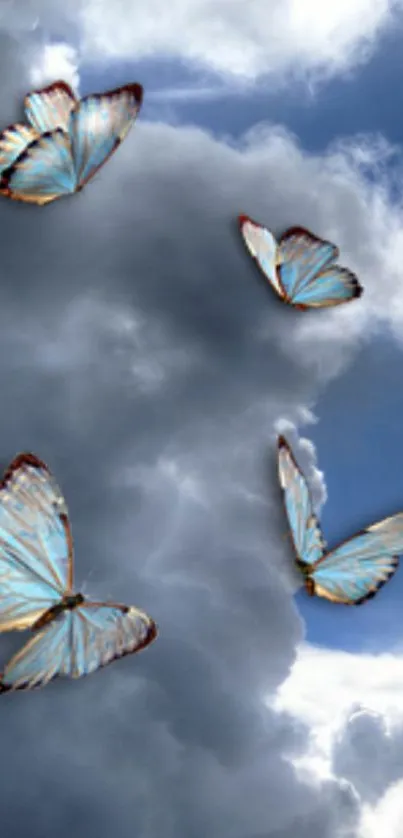 Blue butterflies flying in cloudy sky wallpaper.