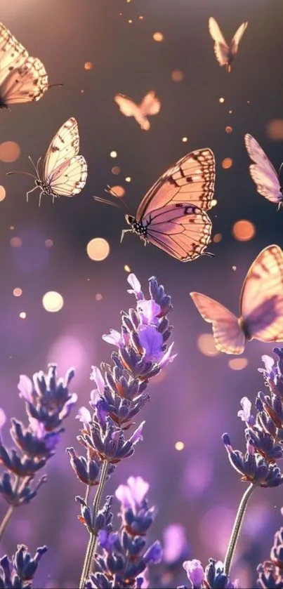 Butterflies dance among lavender flowers