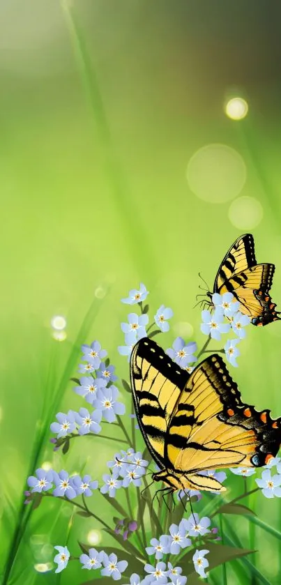 Yellow butterflies flutter over delicate blue flowers in a green meadow.