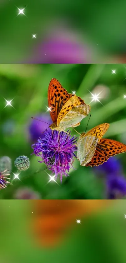 Two butterflies rest on a vibrant purple flower with a sparkling green backdrop.