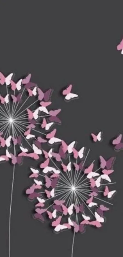 Dark gray wallpaper with pink butterflies on dandelions.