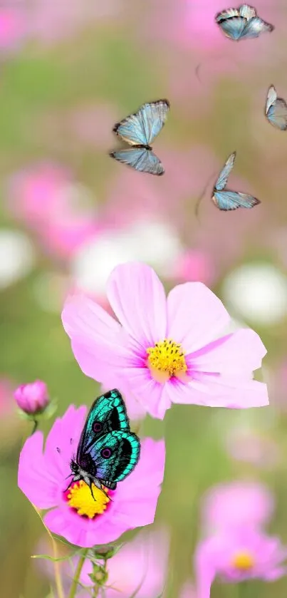 Vibrant butterflies on pink blossoms, creating a serene and colorful mobile wallpaper.