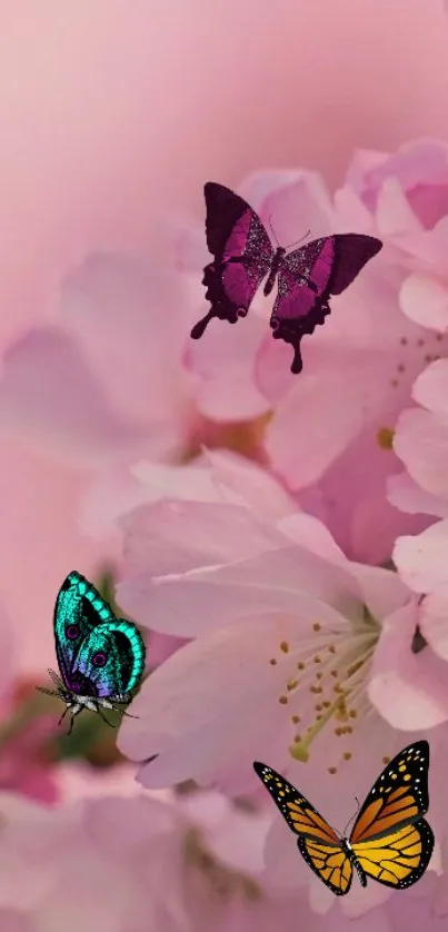 Colorful butterflies on pink blossom branches, creating a serene mobile wallpaper.