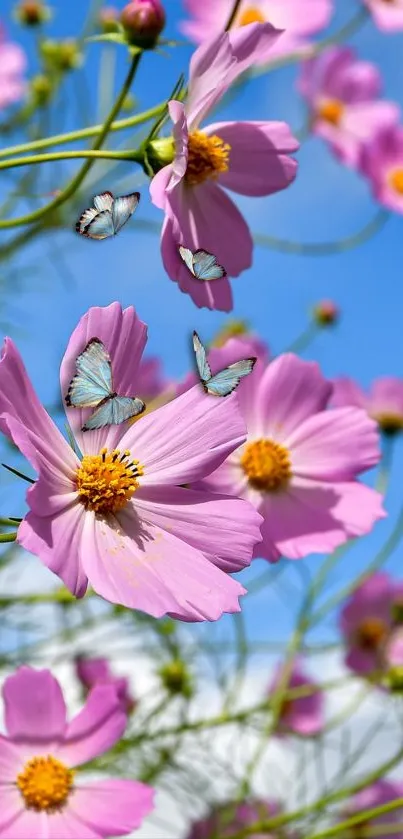 Vibrant wallpaper with butterflies on pink flowers against a blue sky.