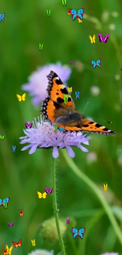 Colorful butterfly perched on a vibrant purple flower.