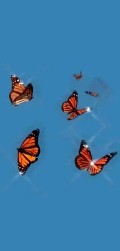 Orange butterflies fluttering on a sky blue background wallpaper.