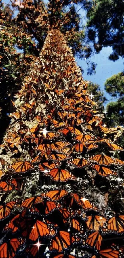 A tree trunk covered with Monarch butterflies in a natural setting.