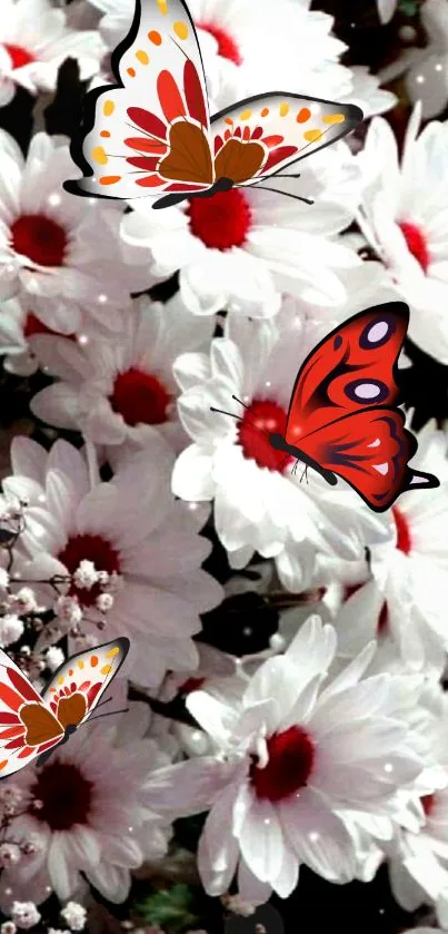 Vibrant red butterflies on white daisies.