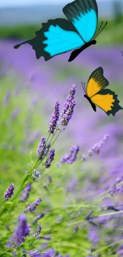 Colorful butterflies flying over a lavender field with a sunny background.