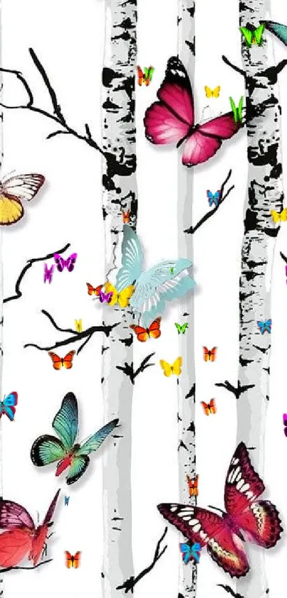 Colorful butterflies on birch trees wallpaper.