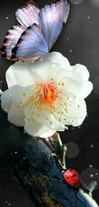 Delicate butterfly on white blossom with ladybug, capturing a serene natural scene.