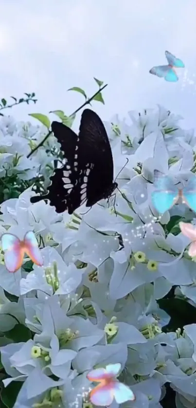 Black butterfly on white flowers with colorful accents.