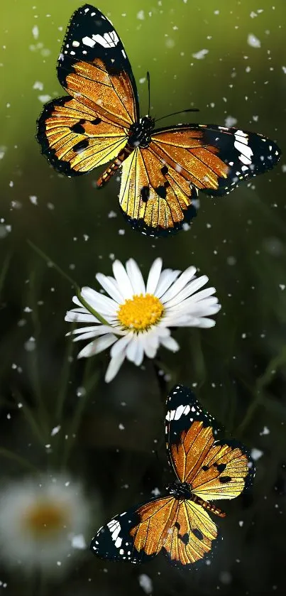 Two butterflies and a daisy on a lush green background.