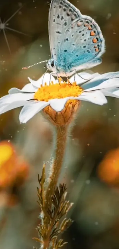 A blue butterfly resting on a white daisy blossom in a serene natural setting.