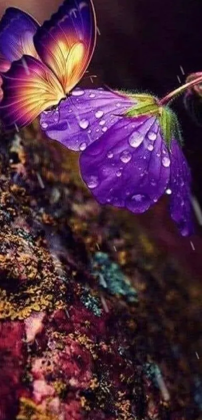 Close-up of a butterfly on a purple flower with dewdrops.