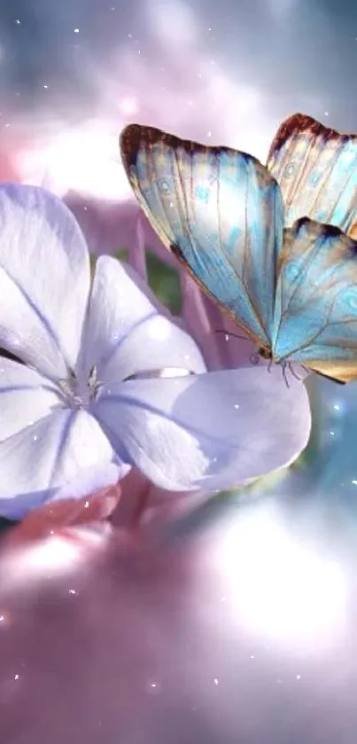 Blue butterfly on a purple flower with soft background.