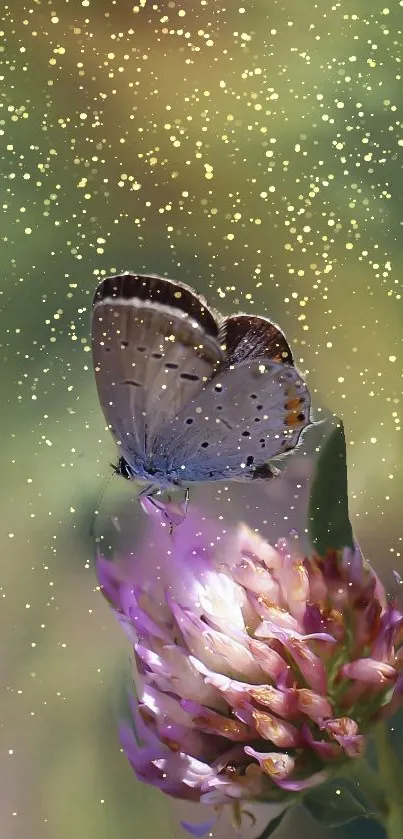 Butterfly resting on a vibrant flower with a soft, green background.